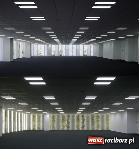 Zdjęcie w galerii na portalu naszraciborz.pl: Przeźroczysty kamień z Pietrowic wiadomości z regionu