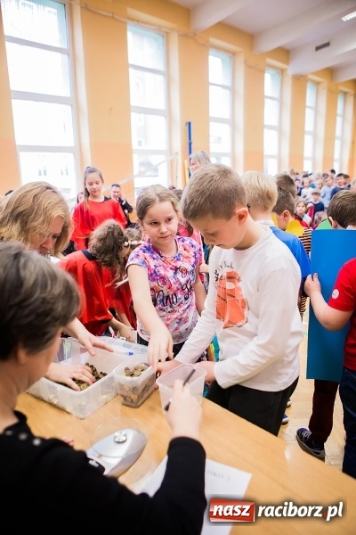 Zdjęcie w galerii na portalu naszraciborz.pl: Podsumowanie akcji G&oacute;ra Grosza 2016 w SP13 wiadomości z regionu