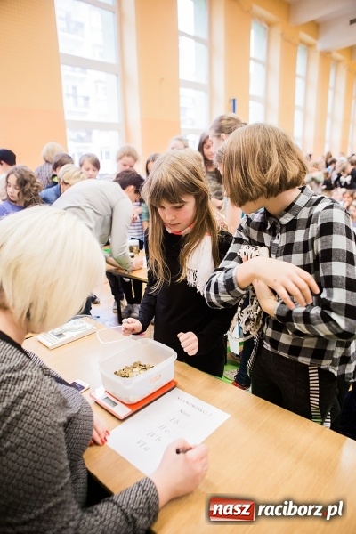 Zdjęcie w galerii na portalu naszraciborz.pl: Podsumowanie akcji G&oacute;ra Grosza 2016 w SP13 wiadomości z regionu