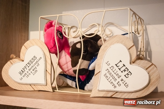 Zdjęcie w galerii na portalu naszraciborz.pl: Z angielskim za pan brat - szkoła językowa Progress zaprasza na zajęcia! wiadomości z regionu