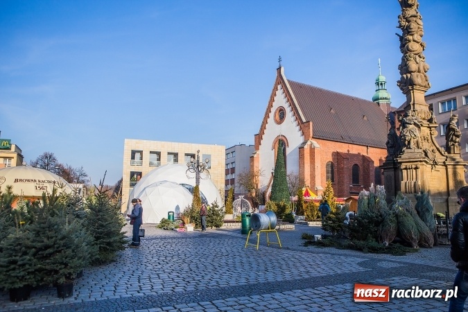 Zdjęcie w galerii na portalu naszraciborz.pl: Zdjęcia ze św. Mikołajem, wielkie gotowanie i karuzela, czyli drugi jarmarkowy weekend w Raciborzu wiadomości z regionu