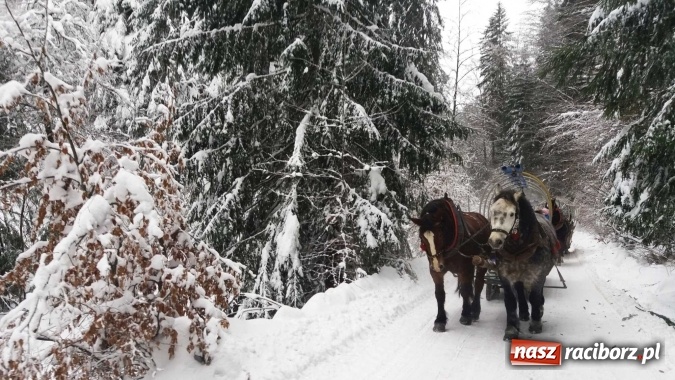 Zdjęcie w galerii na portalu naszraciborz.pl: Uczniowie z Płoni na wyjeździe integracyjnym w Wiśle  wiadomości z regionu