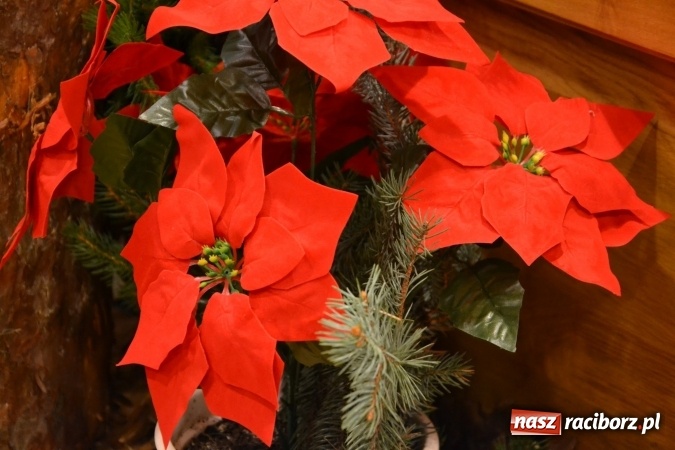 Zdjęcie w galerii na portalu naszraciborz.pl: W pośpiechu na Święta Bożego Narodzenia - widowisko wigilijne na Zamku Piastowskim wiadomości z regionu