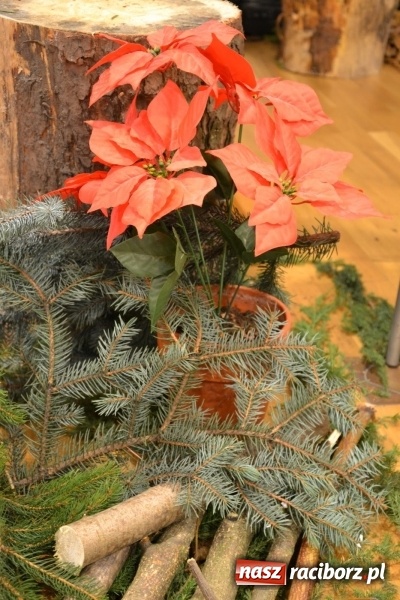 Zdjęcie w galerii na portalu naszraciborz.pl: W pośpiechu na Święta Bożego Narodzenia - widowisko wigilijne na Zamku Piastowskim wiadomości z regionu