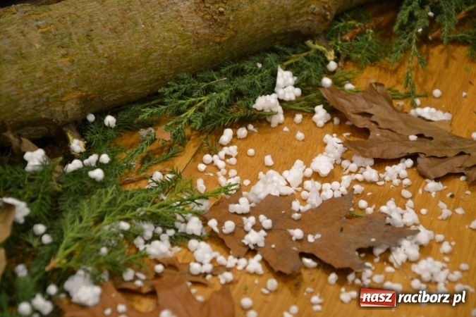 Zdjęcie w galerii na portalu naszraciborz.pl: W pośpiechu na Święta Bożego Narodzenia - widowisko wigilijne na Zamku Piastowskim wiadomości z regionu