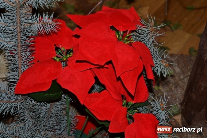 Zdjęcie w galerii na portalu naszraciborz.pl: W pośpiechu na Święta Bożego Narodzenia - widowisko wigilijne na Zamku Piastowskim wiadomości z regionu