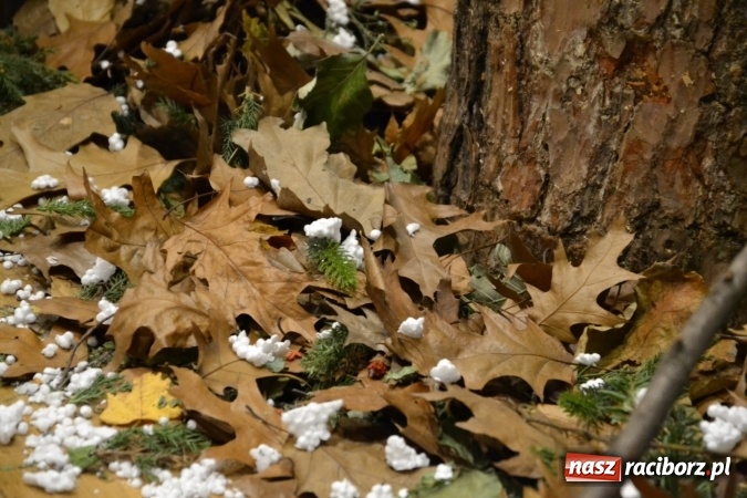 Zdjęcie w galerii na portalu naszraciborz.pl: W pośpiechu na Święta Bożego Narodzenia - widowisko wigilijne na Zamku Piastowskim wiadomości z regionu