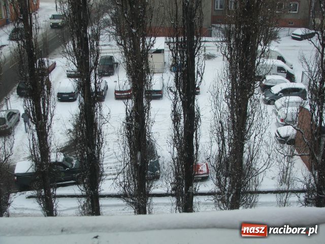 Zdjęcie w galerii na portalu naszraciborz.pl: Zima nie taka śnieżna i mroźna wiadomości z regionu