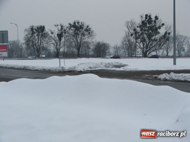 Zdjęcie w galerii na portalu naszraciborz.pl: Zima nie taka śnieżna i mroźna wiadomości z regionu