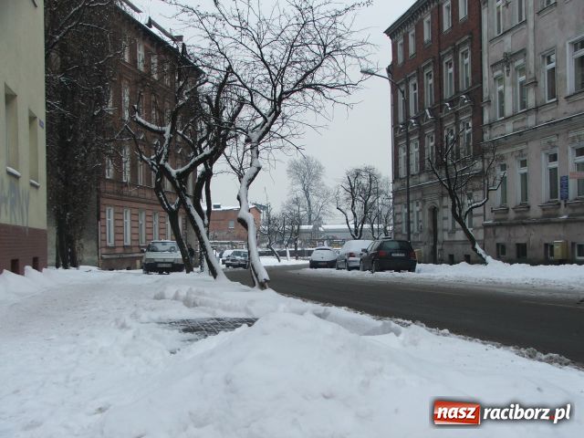 Zdjęcie w galerii na portalu naszraciborz.pl: Zima nie taka śnieżna i mroźna wiadomości z regionu