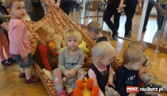 Zdjęcie w galerii na portalu naszraciborz.pl: Fikusie czekają na święta  wiadomości z regionu