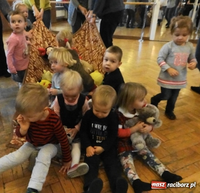 Zdjęcie w galerii na portalu naszraciborz.pl: Fikusie czekają na święta  wiadomości z regionu