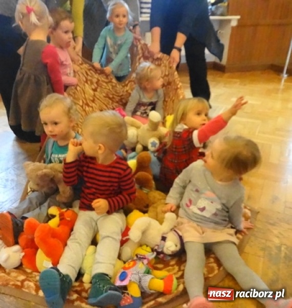 Zdjęcie w galerii na portalu naszraciborz.pl: Fikusie czekają na święta  wiadomości z regionu