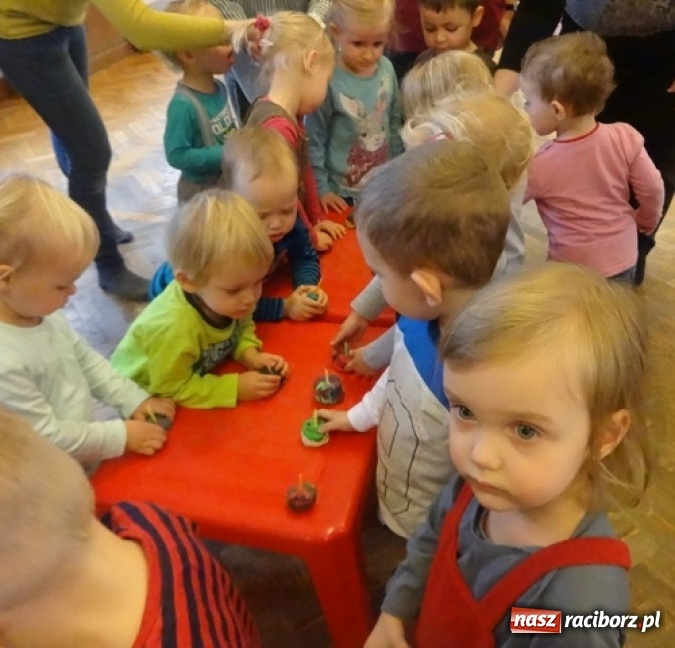 Zdjęcie w galerii na portalu naszraciborz.pl: Fikusie czekają na święta  wiadomości z regionu