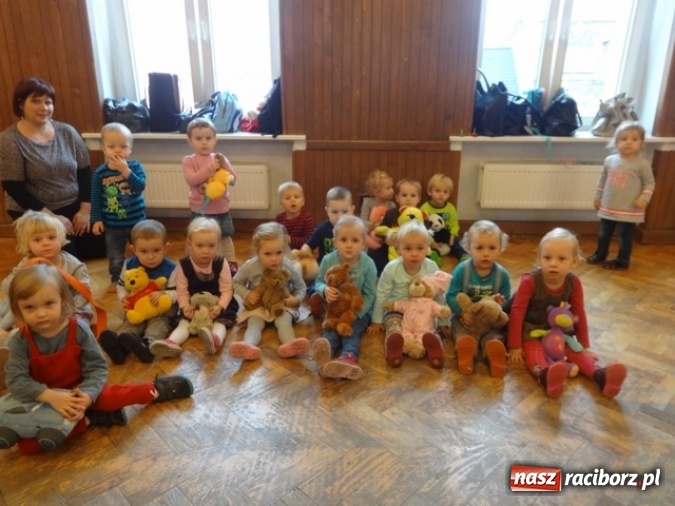 Zdjęcie w galerii na portalu naszraciborz.pl: Fikusie czekają na święta  wiadomości z regionu