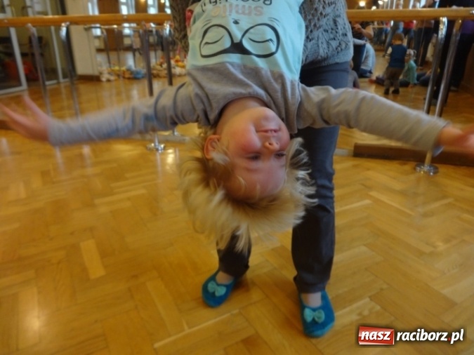 Zdjęcie w galerii na portalu naszraciborz.pl: Fikusie czekają na święta  wiadomości z regionu