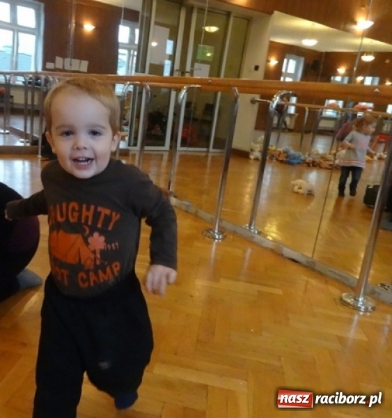 Zdjęcie w galerii na portalu naszraciborz.pl: Fikusie czekają na święta  wiadomości z regionu