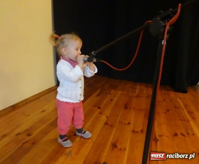 Zdjęcie w galerii na portalu naszraciborz.pl: Fikusie czekają na święta  wiadomości z regionu