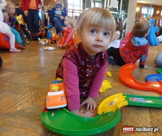 Zdjęcie w galerii na portalu naszraciborz.pl: Fikusie czekają na święta  wiadomości z regionu