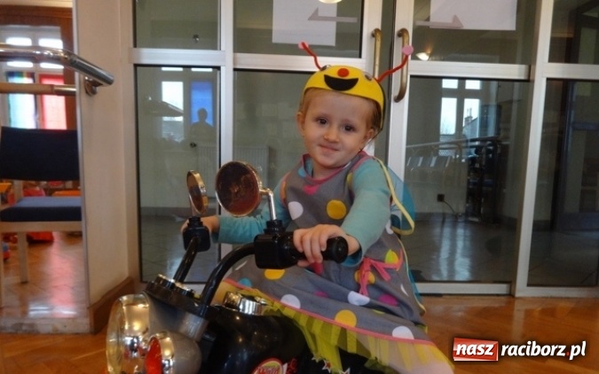 Zdjęcie w galerii na portalu naszraciborz.pl: Fikusie czekają na święta  wiadomości z regionu