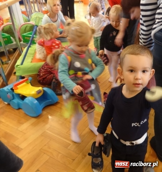 Zdjęcie w galerii na portalu naszraciborz.pl: Fikusie czekają na święta  wiadomości z regionu