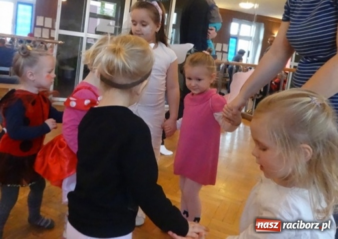 Zdjęcie w galerii na portalu naszraciborz.pl: Fikusie czekają na święta  wiadomości z regionu