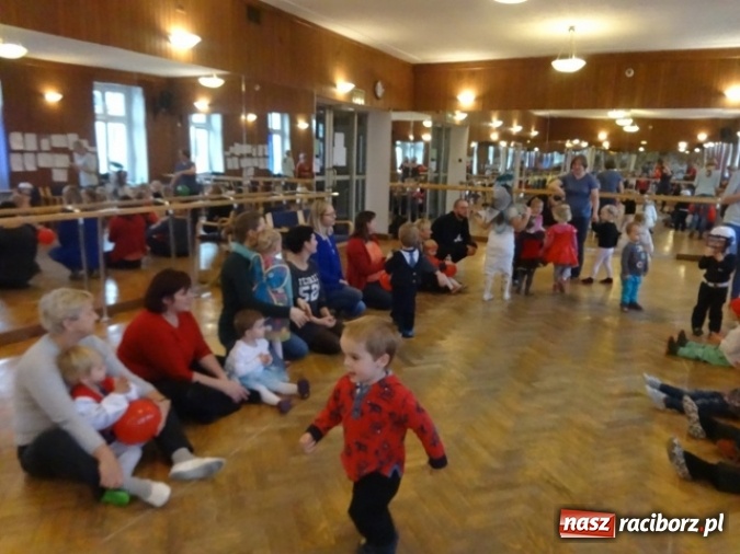 Zdjęcie w galerii na portalu naszraciborz.pl: Fikusie czekają na święta  wiadomości z regionu