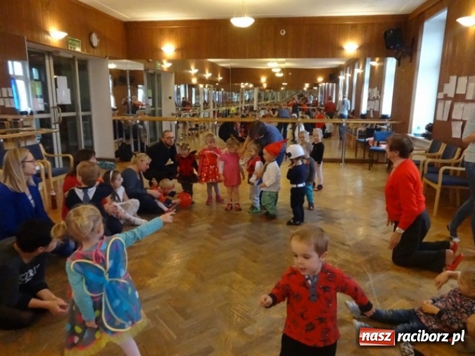 Zdjęcie w galerii na portalu naszraciborz.pl: Fikusie czekają na święta  wiadomości z regionu