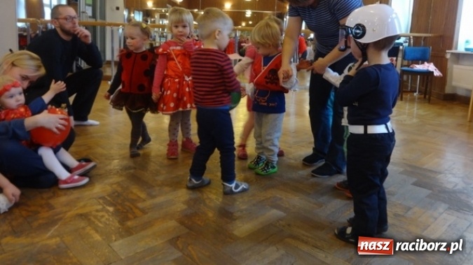 Zdjęcie w galerii na portalu naszraciborz.pl: Fikusie czekają na święta  wiadomości z regionu