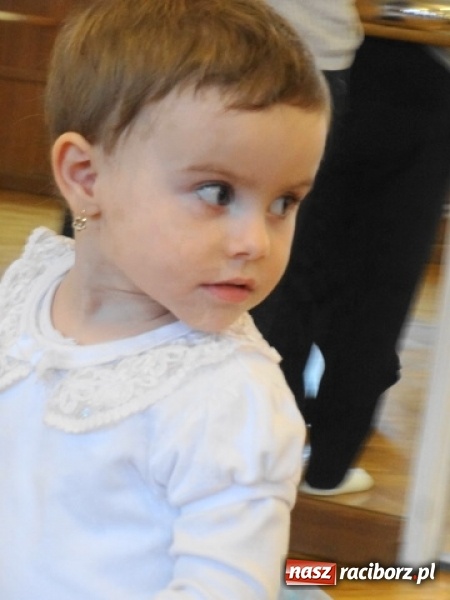 Zdjęcie w galerii na portalu naszraciborz.pl: Fikusie czekają na święta  wiadomości z regionu