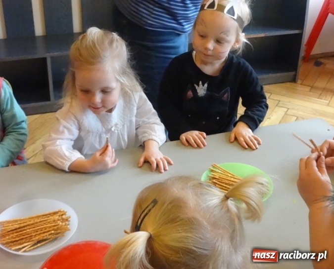 Zdjęcie w galerii na portalu naszraciborz.pl: Fikusie czekają na święta  wiadomości z regionu