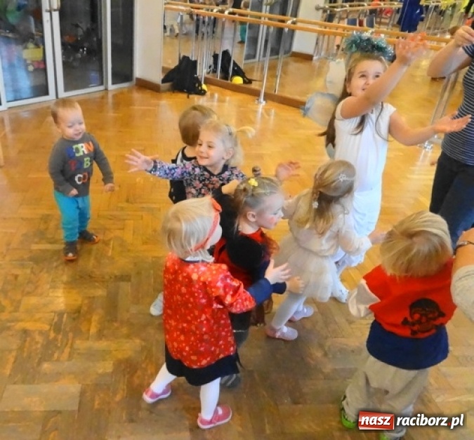 Zdjęcie w galerii na portalu naszraciborz.pl: Fikusie czekają na święta  wiadomości z regionu