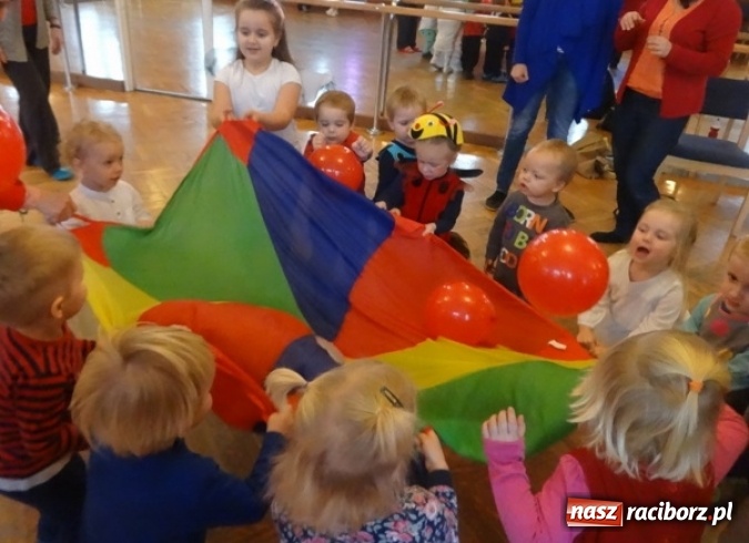 Zdjęcie w galerii na portalu naszraciborz.pl: Fikusie czekają na święta  wiadomości z regionu