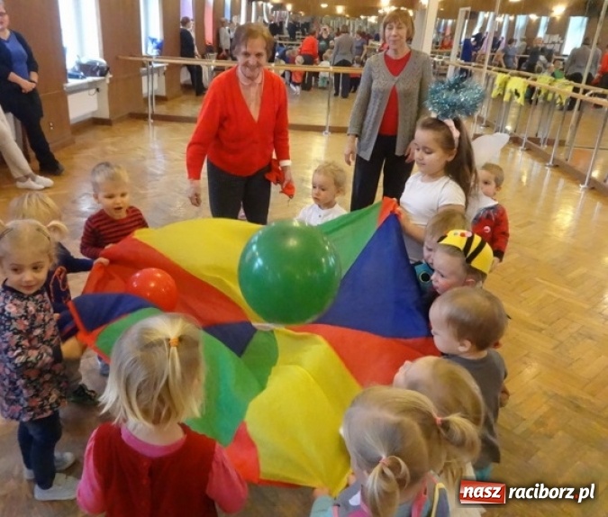 Zdjęcie w galerii na portalu naszraciborz.pl: Fikusie czekają na święta  wiadomości z regionu