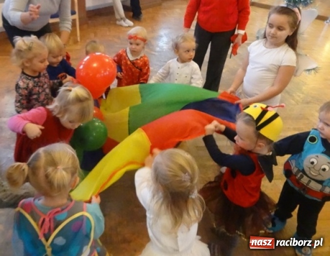 Zdjęcie w galerii na portalu naszraciborz.pl: Fikusie czekają na święta  wiadomości z regionu