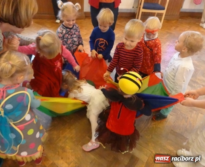 Zdjęcie w galerii na portalu naszraciborz.pl: Fikusie czekają na święta  wiadomości z regionu