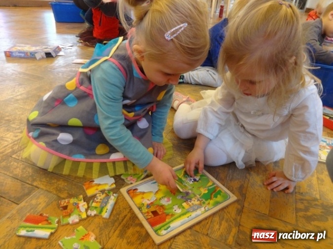 Zdjęcie w galerii na portalu naszraciborz.pl: Fikusie czekają na święta  wiadomości z regionu