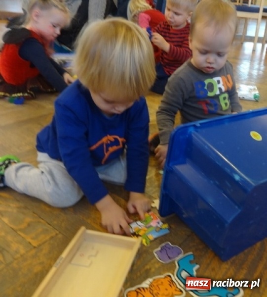 Zdjęcie w galerii na portalu naszraciborz.pl: Fikusie czekają na święta  wiadomości z regionu