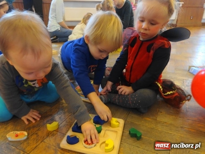 Zdjęcie w galerii na portalu naszraciborz.pl: Fikusie czekają na święta  wiadomości z regionu