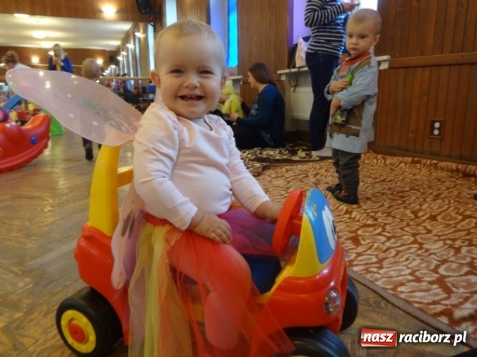 Zdjęcie w galerii na portalu naszraciborz.pl: Fikusie czekają na święta  wiadomości z regionu