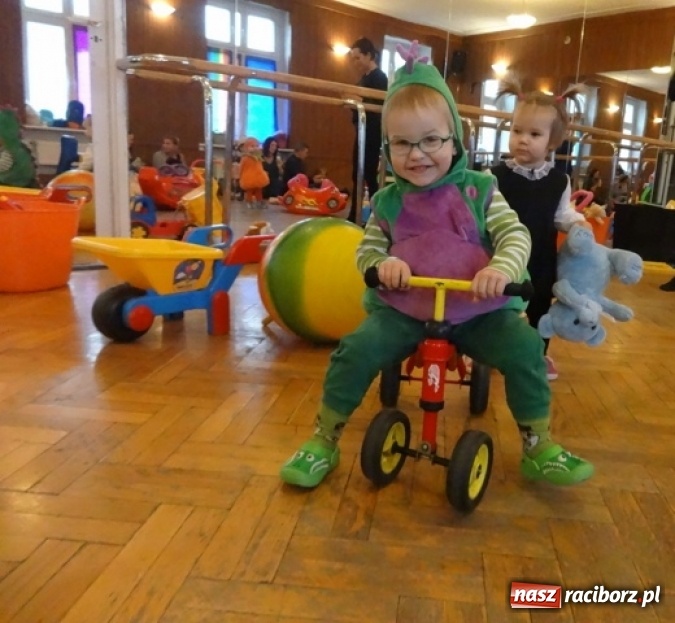 Zdjęcie w galerii na portalu naszraciborz.pl: Fikusie czekają na święta  wiadomości z regionu