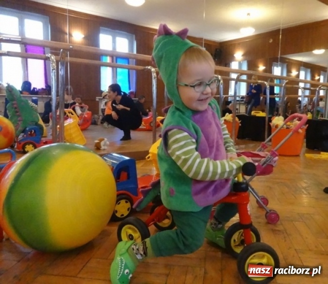 Zdjęcie w galerii na portalu naszraciborz.pl: Fikusie czekają na święta  wiadomości z regionu