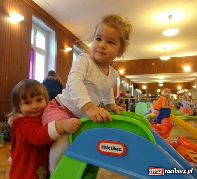 Zdjęcie w galerii na portalu naszraciborz.pl: Fikusie czekają na święta  wiadomości z regionu