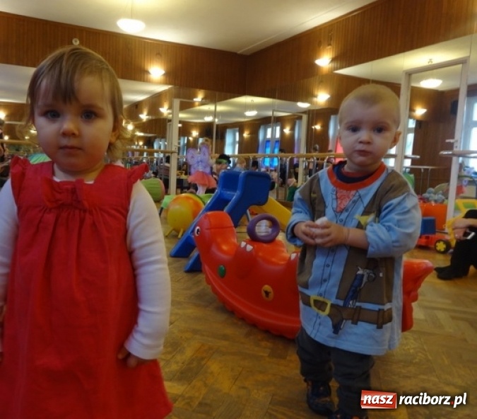 Zdjęcie w galerii na portalu naszraciborz.pl: Fikusie czekają na święta  wiadomości z regionu