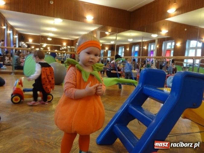 Zdjęcie w galerii na portalu naszraciborz.pl: Fikusie czekają na święta  wiadomości z regionu