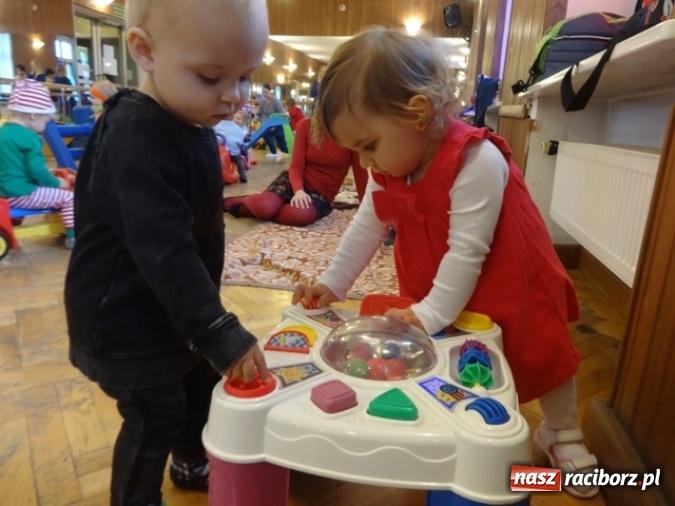 Zdjęcie w galerii na portalu naszraciborz.pl: Fikusie czekają na święta  wiadomości z regionu