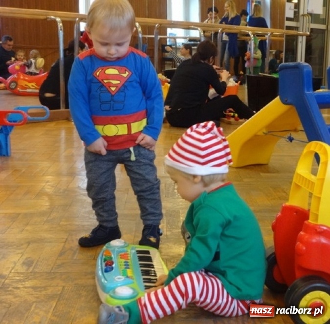 Zdjęcie w galerii na portalu naszraciborz.pl: Fikusie czekają na święta  wiadomości z regionu