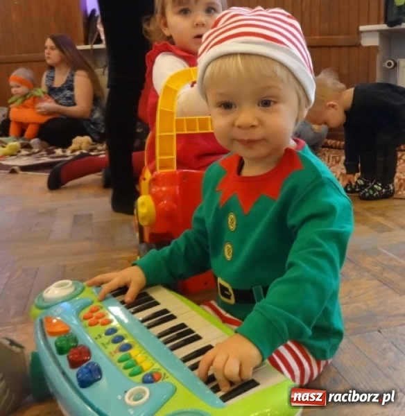 Zdjęcie w galerii na portalu naszraciborz.pl: Fikusie czekają na święta  wiadomości z regionu