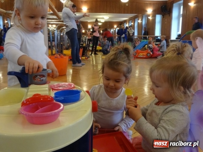 Zdjęcie w galerii na portalu naszraciborz.pl: Fikusie czekają na święta  wiadomości z regionu