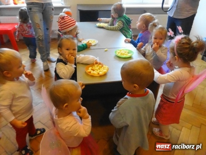 Zdjęcie w galerii na portalu naszraciborz.pl: Fikusie czekają na święta  wiadomości z regionu